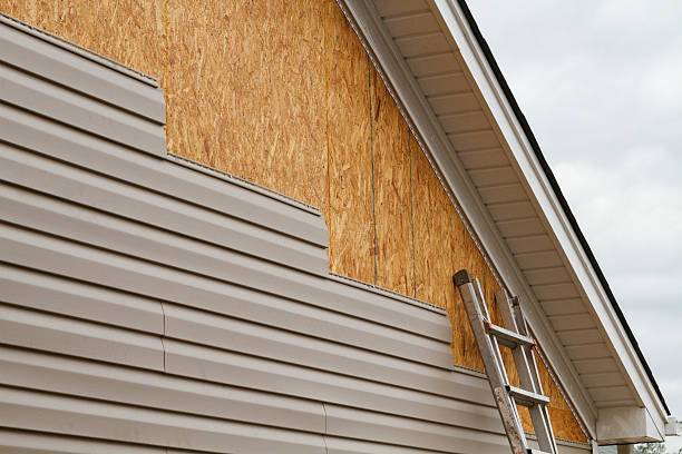 Professional Wood Siding technician working in Inverness, FL